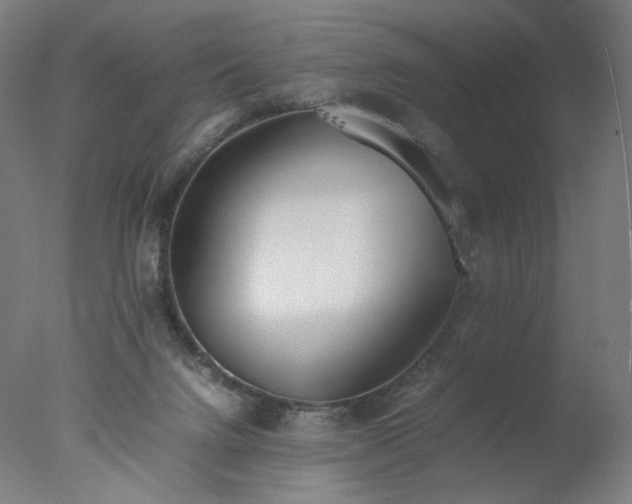 X0000077280072200610271509