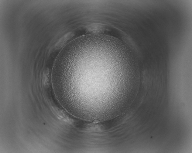 X0000077280073200610271509
