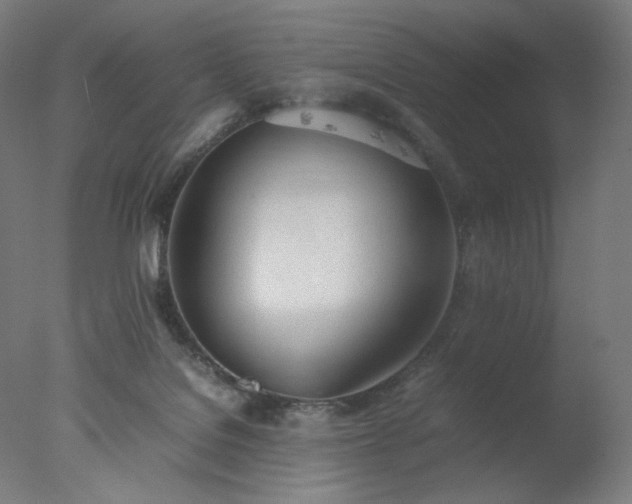 X0000077280076200610271509