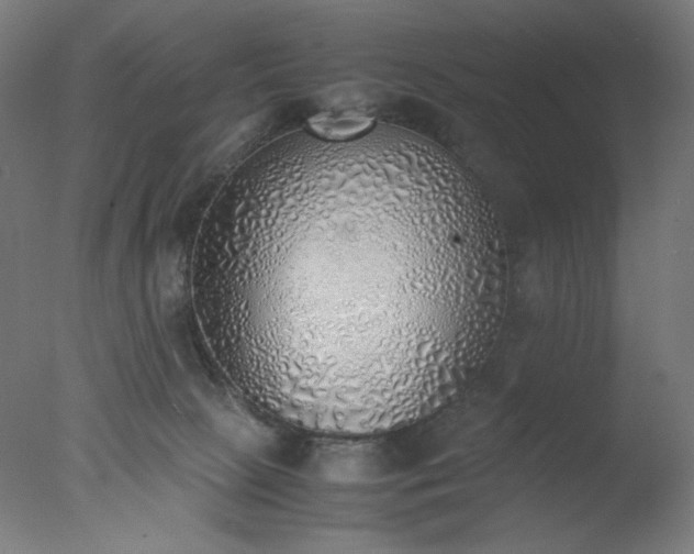 X0000077280081200610271509
