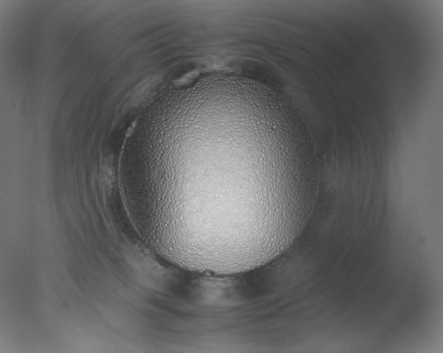 X0000077280085200610271509