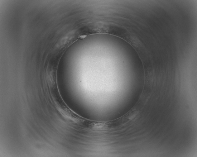 X0000077280088200610271509
