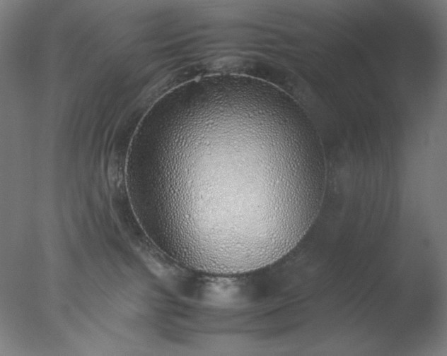 X0000077280091200610271510