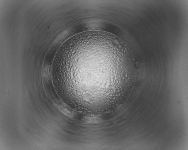 X0000077280093200610271510