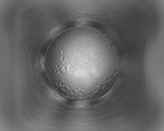X0000077280094200610271510