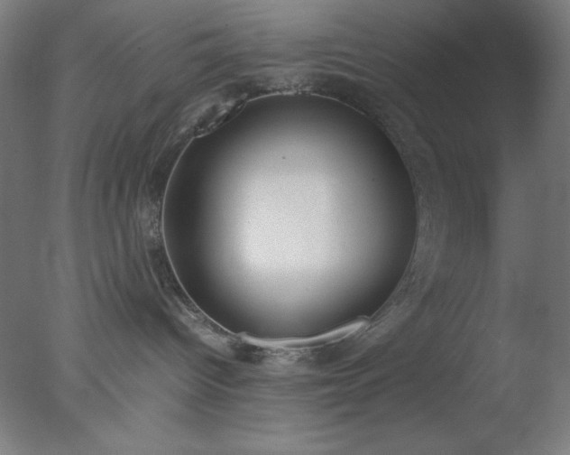 X0000077280096200610271510