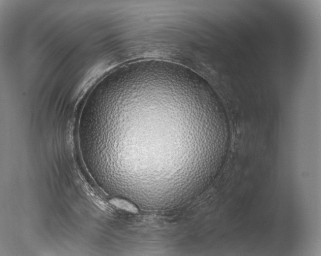 X0000077280098200610271509