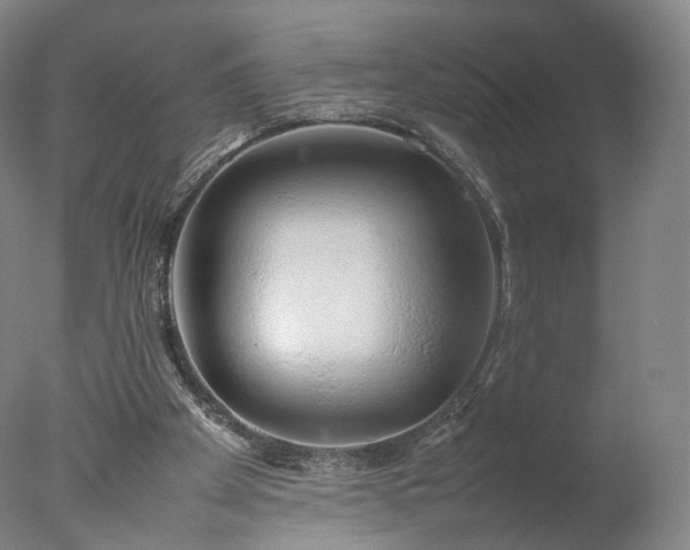 X0000077280105200610271509