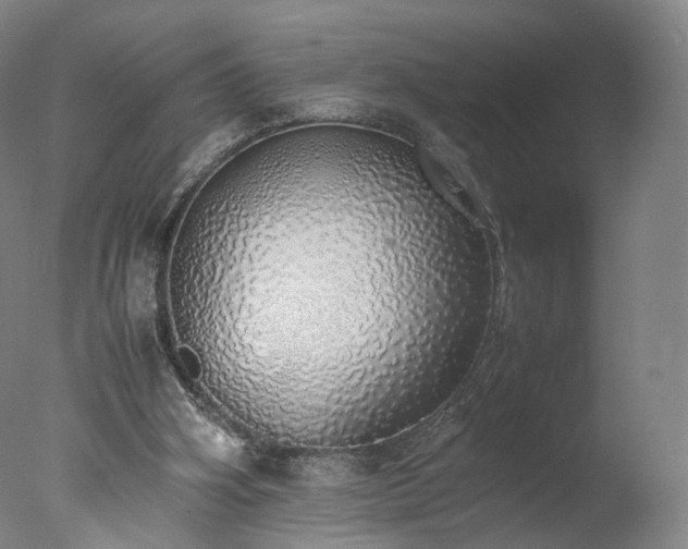 X0000077280106200610271509