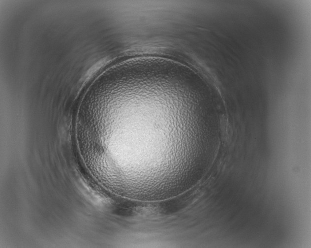 X0000077280107200610271509