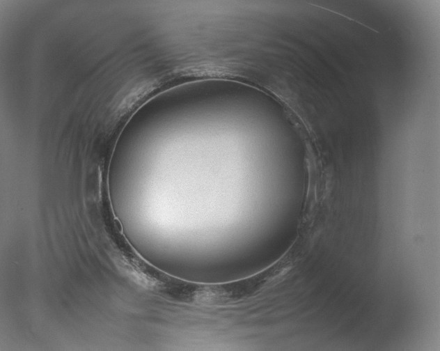 X0000077280109200610271509