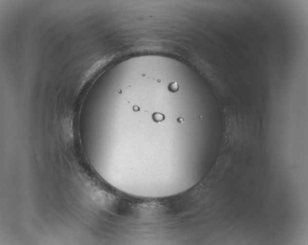 X0000077280112200610271509