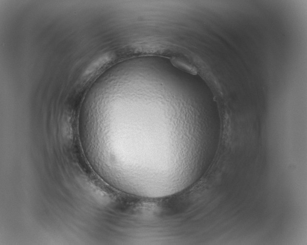 X0000077280114200610271508
