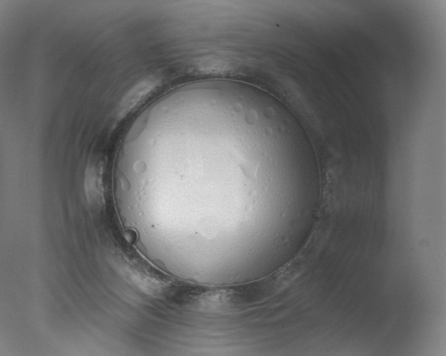 X0000077280116200610271508