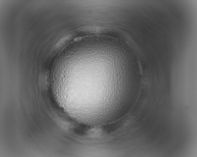 X0000077280119200610271508
