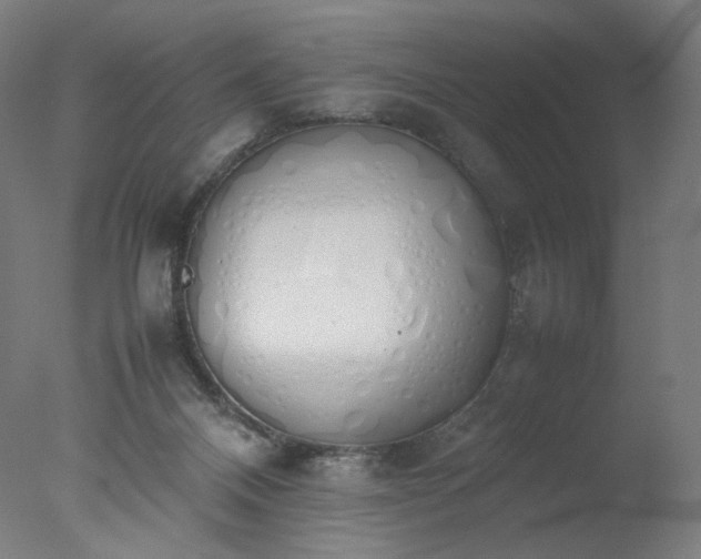X0000077280120200610271508