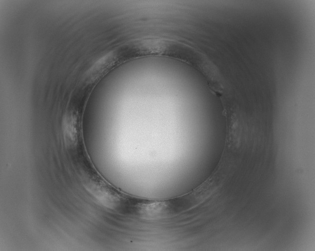 X0000077280122200610271508