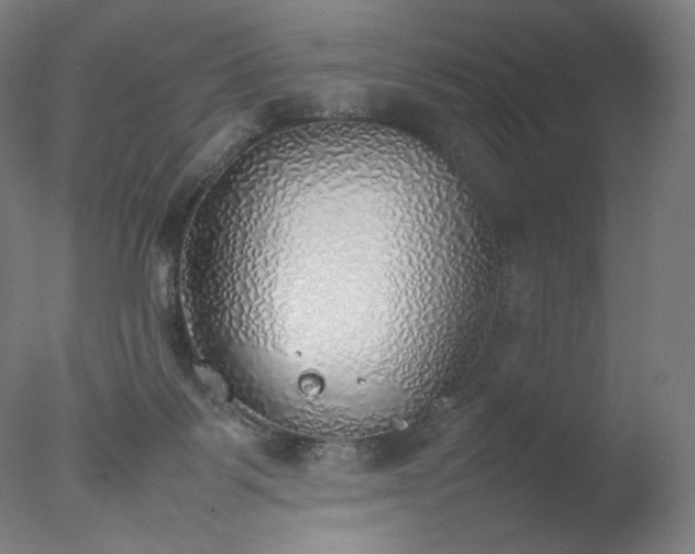 X0000077280123200610271508
