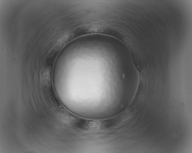 X0000077280127200610271508