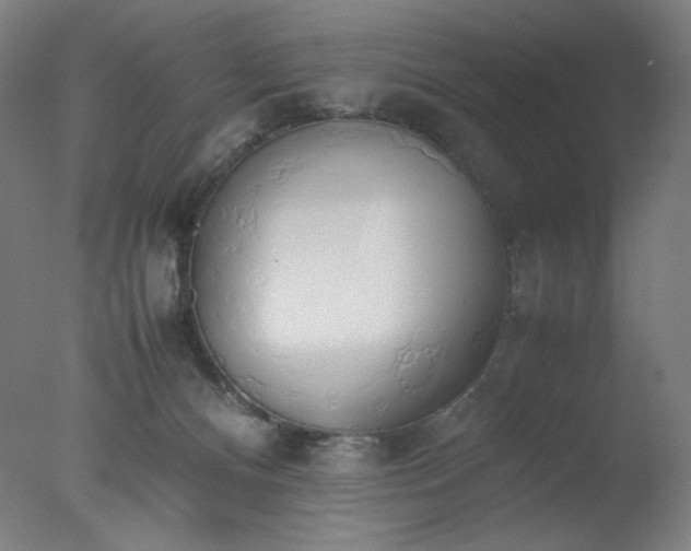 X0000077280128200610271508