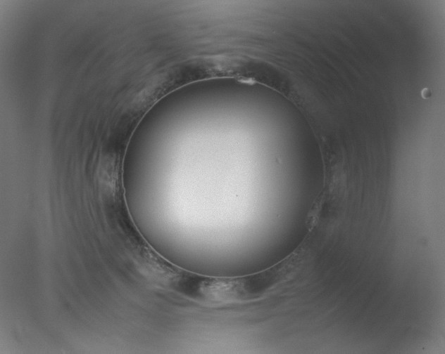 X0000077280129200610271508