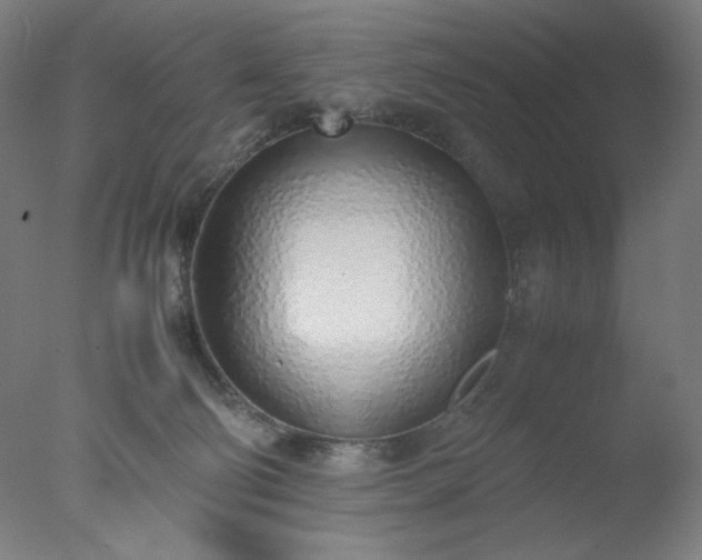 X0000077280130200610271508