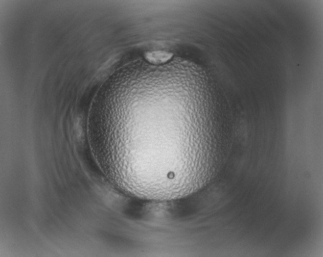 X0000077280131200610271508