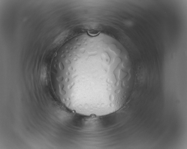 X0000077280132200610271508