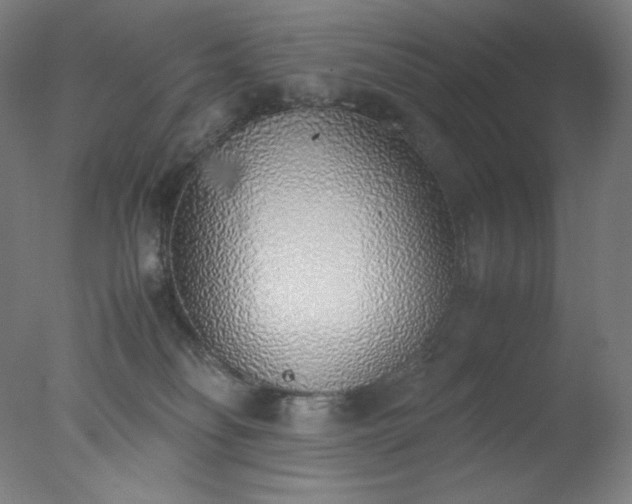 X0000077280134200610271508