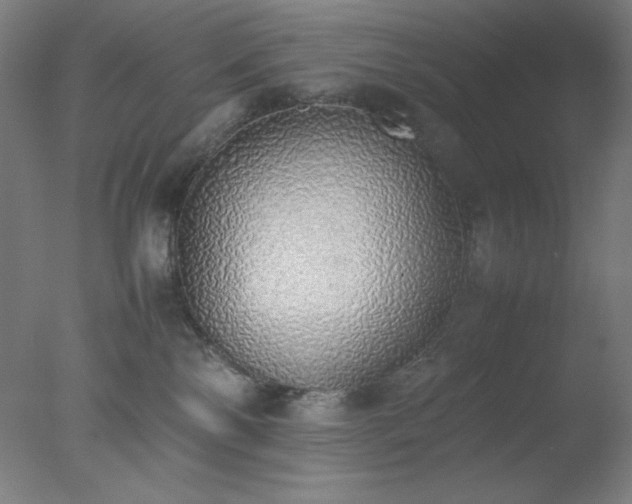 X0000077280138200610271508