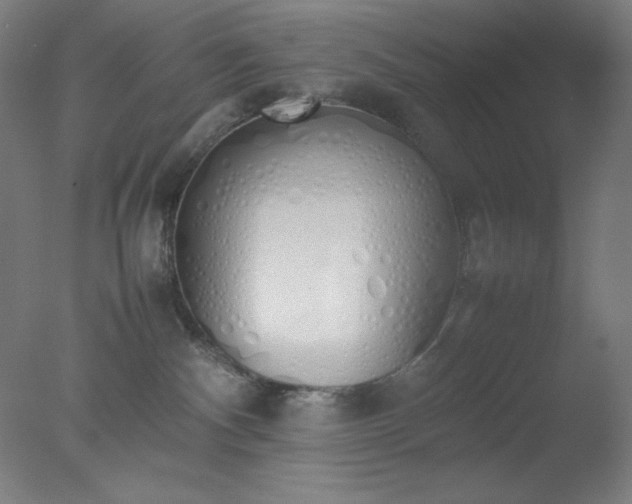 X0000077280140200610271508