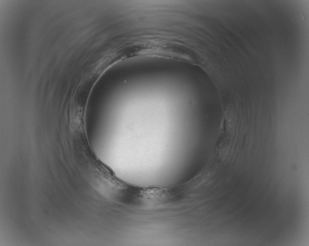 X0000077280141200610271508