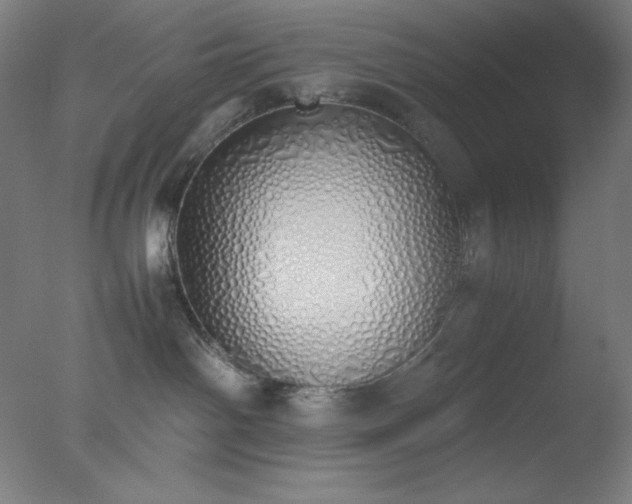 X0000077280142200610271508