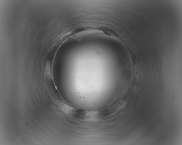 X0000077280143200610271508