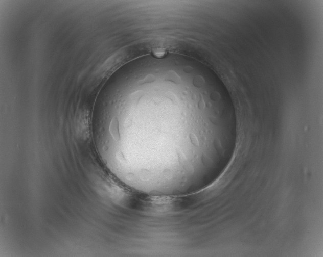 X0000077280144200610271508