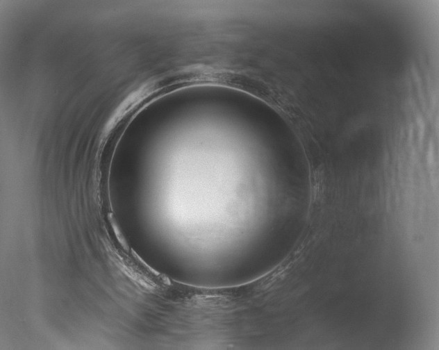 X0000077280150200610271507