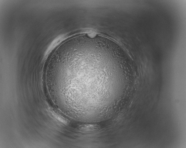 X0000077280151200610271507