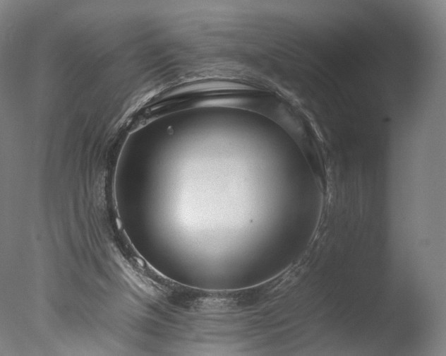 X0000077280154200610271507