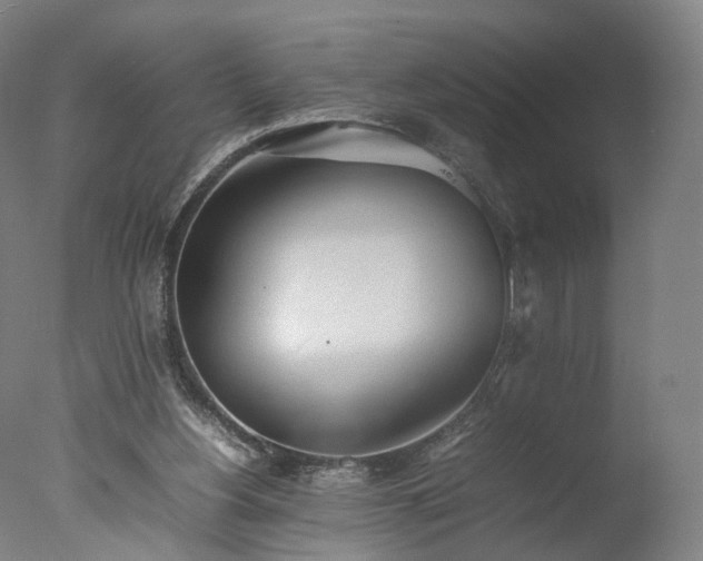 X0000077280156200610271507