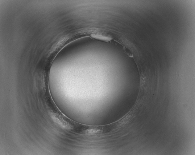 X0000077280158200610271507