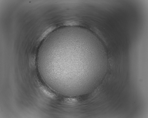 X0000077280159200610271507