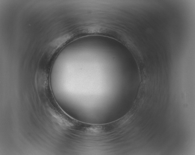 X0000077280164200610271507