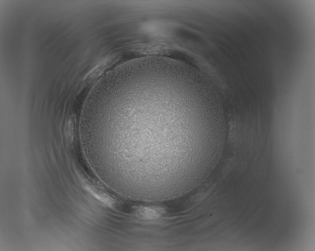 X0000077280165200610271508