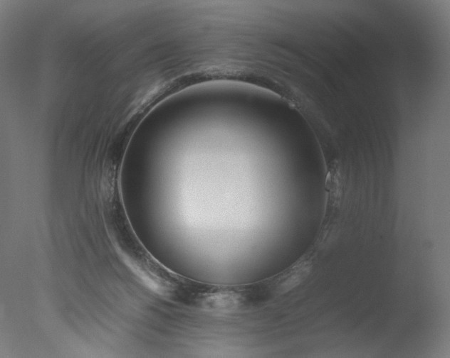 X0000077280168200610271508