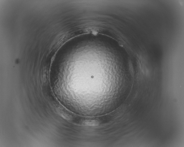 X0000077280169200610271508