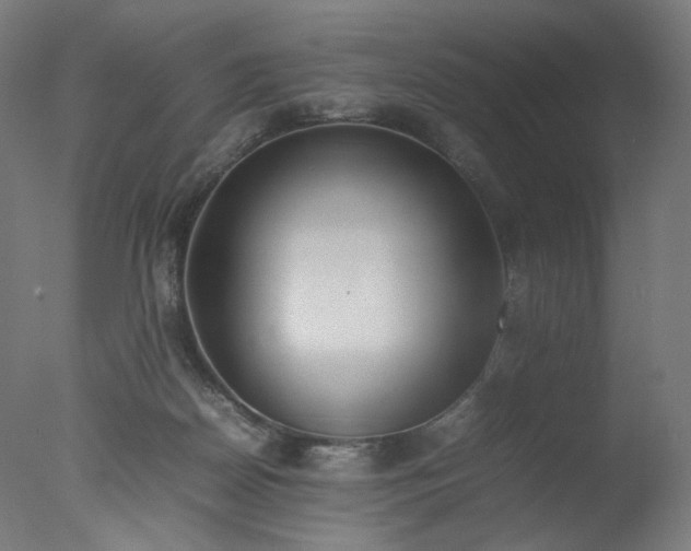X0000077280170200610271508