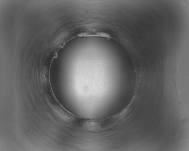 X0000077280174200610271508
