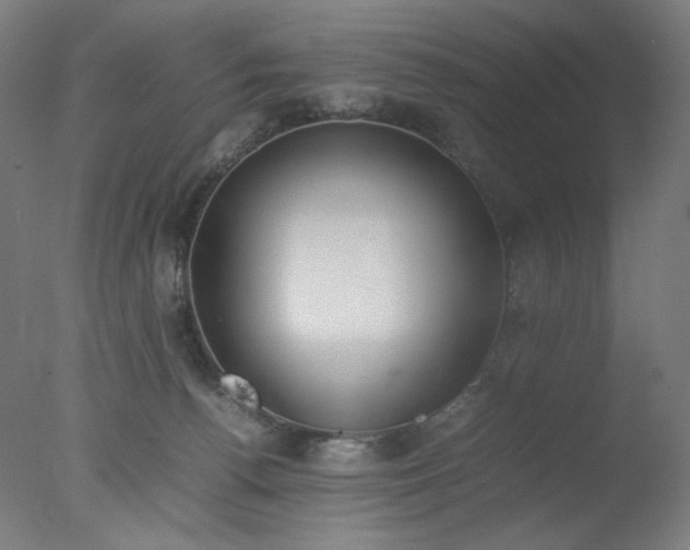 X0000077280176200610271508