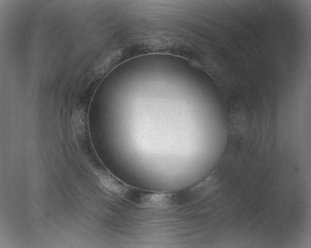 X0000077280184200610271508