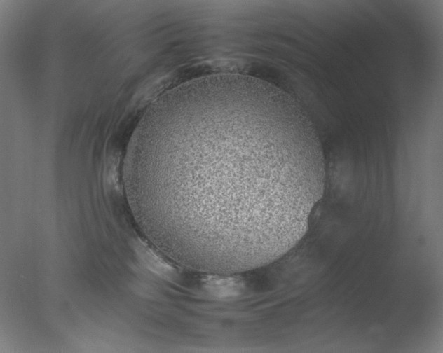 X0000077280185200610271508